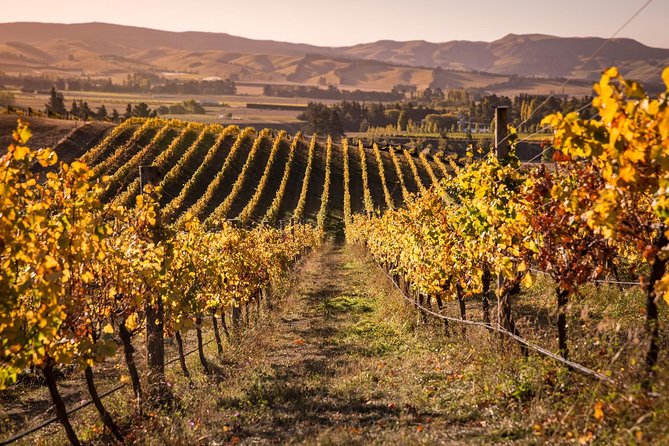 Waipara Wine Tour from Christchurch - including Lunch & Tastings - Leaving Christchurch without driving