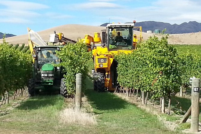 Waipara Wine Tour from Christchurch - including Lunch & Tastings - The guides make more difference than the vehicle