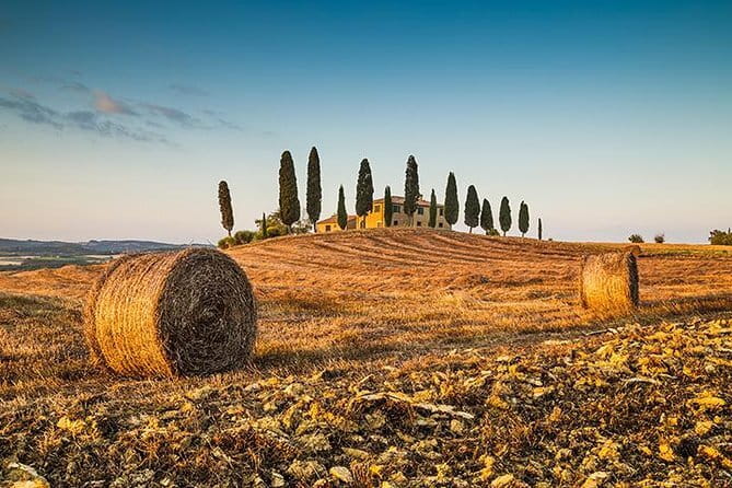 Walking Food Tour of Florence with Tastings and Wine - Walking through Santa Croce and beyond