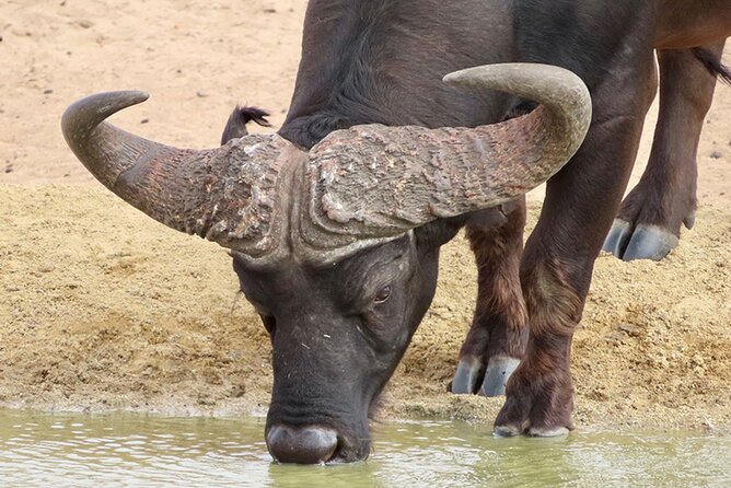 Wildlife Safari, Olive, Beer/Wine Tasting Day Tour from Cape Town - Heading north from Cape Town
