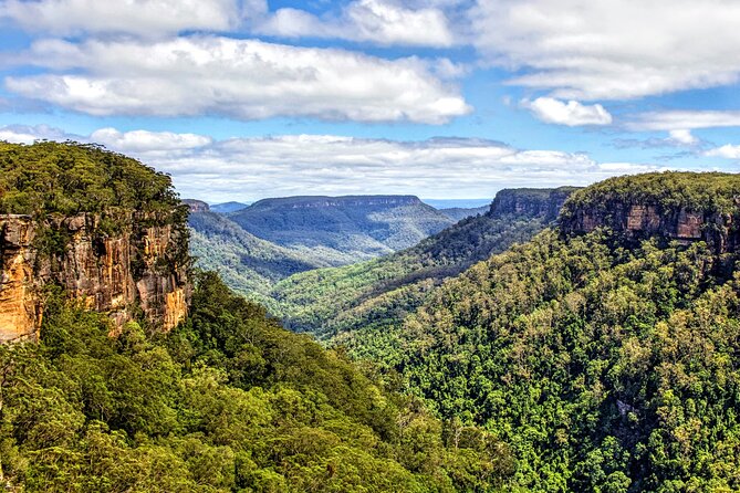 Wildlife, Waterfalls and Wine Day Tour from Sydney - Fitzroy Falls in Morton National Park