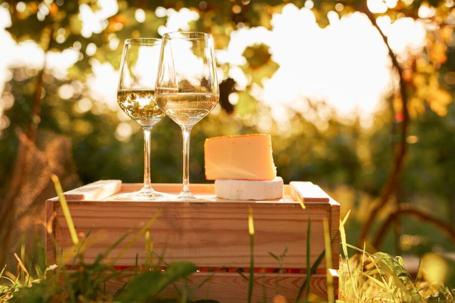 Willamette Valley Wine Tour - What the guide adds to the day