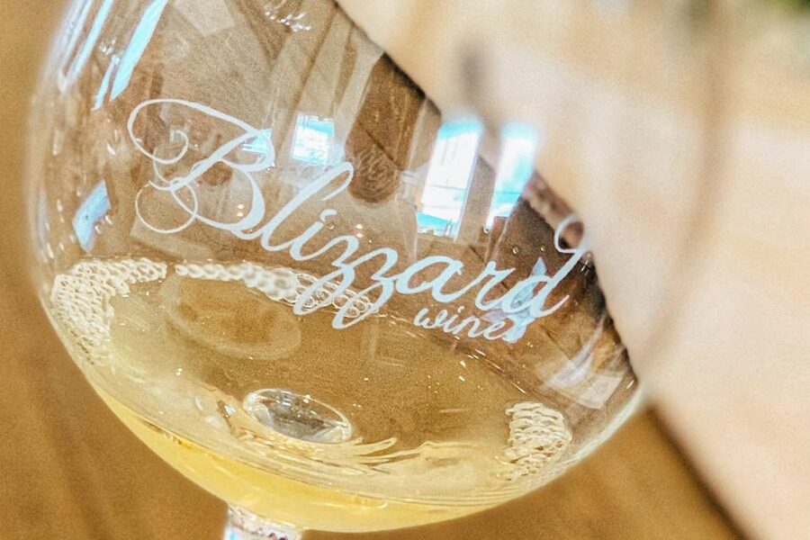 Willamette Valley Wine Tour - Who will get the most from this tour