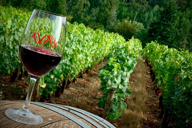 Willamette Valley Wine Tour from Portland - Why the Willamette Valley tastes different