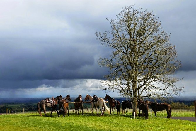 Willamette Valley Wine Tour from Portland - Who will enjoy this wine tour most