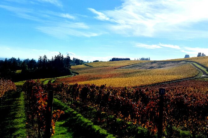 Willamette Valley Wine Tour with Lunch - Stop three: lunch, views, and a slower pause