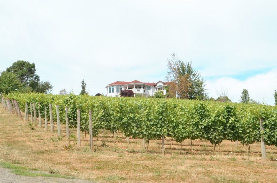 Willamette Valley Wine Tour - The Portland pickup: easy in theory, precise in practice