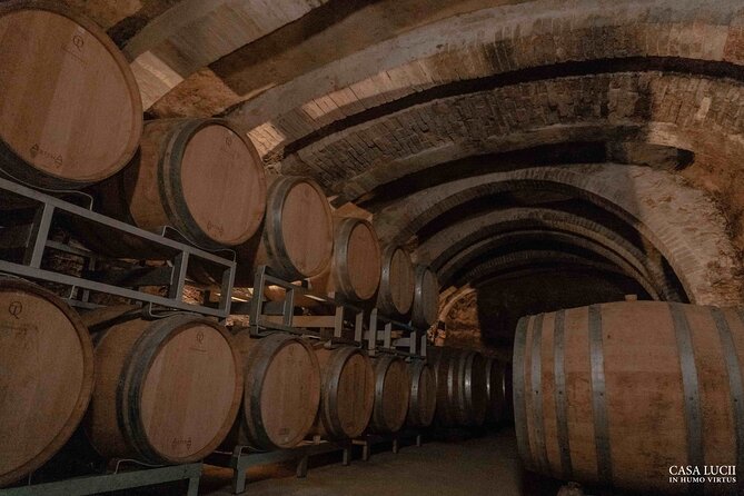 Wine and food tasting in an organic family winery - Finishing with Curato and Tuscan cantucci