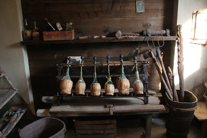 Wine and food tasting in an organic family winery - What the private format means for you