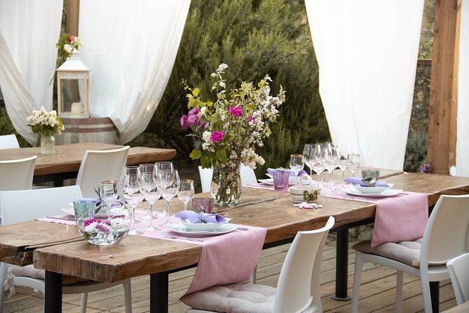Wine and food tasting in an organic family winery - Getting there from San Gimignano or Certaldo