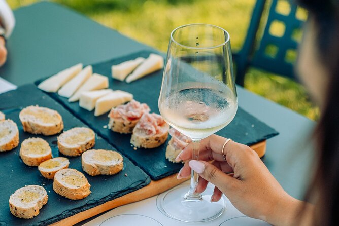 Wine and Food Tasting in the Vineyards in Lazise - A farm setting just outside Lazise