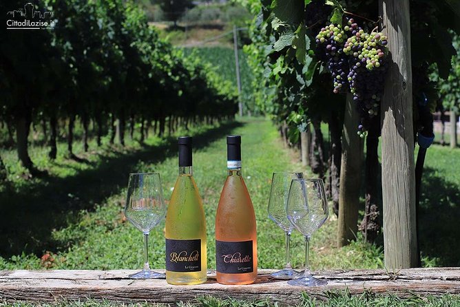 Wine and Food Tasting in the Vineyards in Lazise - Barbara and Marco make the difference