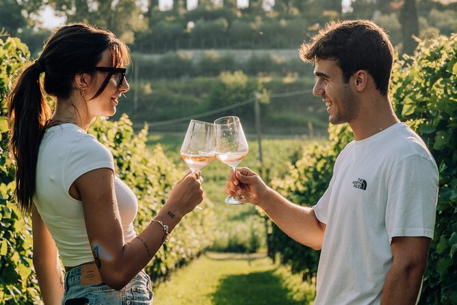 Wine and Food Tasting in the Vineyards in Lazise - Is $50.81 a fair price?