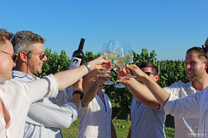 Wine and Food Tasting in the Vineyards in Lazise - What happens during the two-hour tasting