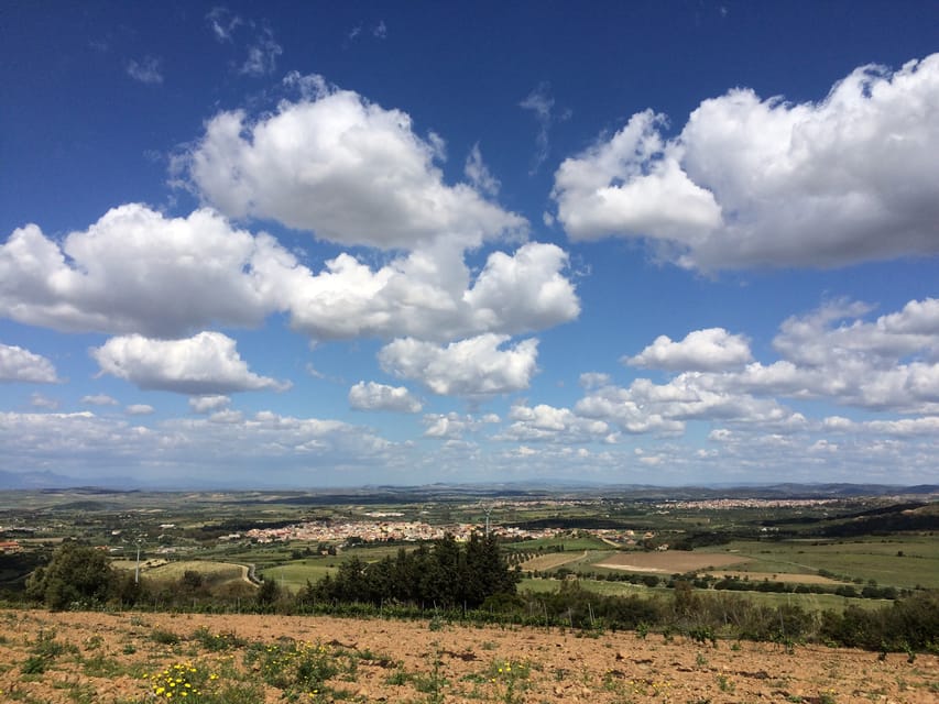 Wine Experience around Cagliari - Key points at a glance