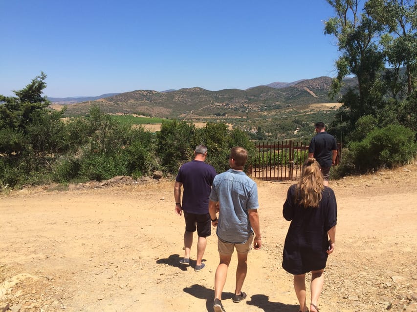 Wine Experience around Cagliari - A small church and a closer look at rural Sardinia