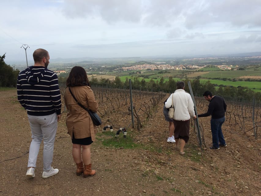 Wine Experience around Cagliari - Cannonau, Vermentino, and the two-hour table