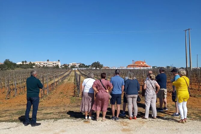 Wine Lovers: Winery Tour w/ Tasting & Tapas (Albufeira/Vilamoura) - The sweet and spirited finish