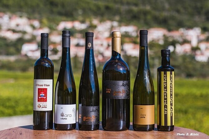 Wine & Sightseeing Tour Korcula - What the guide adds to the day