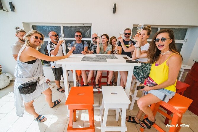 Wine & Sightseeing Tour Korcula - Who will enjoy this Korčula outing?