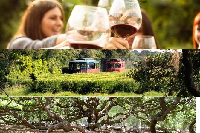 Wine Sippin'-Tea Drinkin'-Tree Huggin' Lowcountry Sightseeing - At a glance