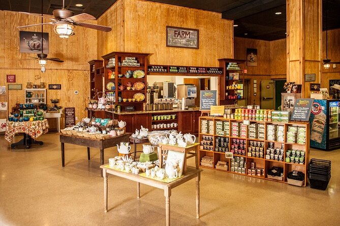 Wine Sippin'-Tea Drinkin'-Tree Huggin' Lowcountry Sightseeing - How much value do you get for $149?