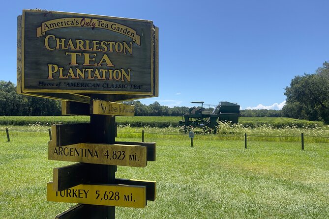 Wine Sippin'-Tea Drinkin'-Tree Huggin' Lowcountry Sightseeing - Who will enjoy this Lowcountry day trip?