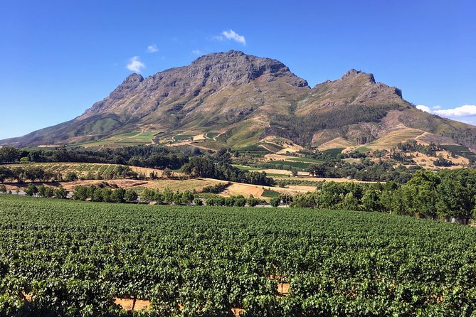 Wine tasting - Boutique farms - Key points to know before you book