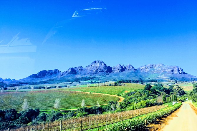 Wine tasting - Boutique farms - Wine, chocolate, lunch, and the value of pairing