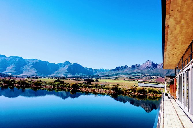 Wine tasting - Boutique farms - What your guide adds to the day