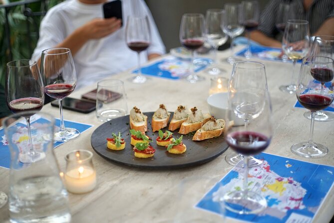 Wine Tasting Experience with a Professional Sommelier in Valencia City Center - Five wines, several Spanish regions