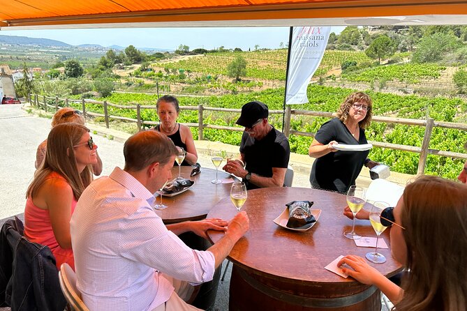 Wine Tasting in Three Boutique Wineries Tour - Max 8 people - Felix Massana Rafols and wine made by hand