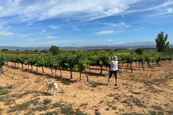 Wine Tasting in Three Boutique Wineries Tour - Max 8 people - Mas Comtal and the family view of wine