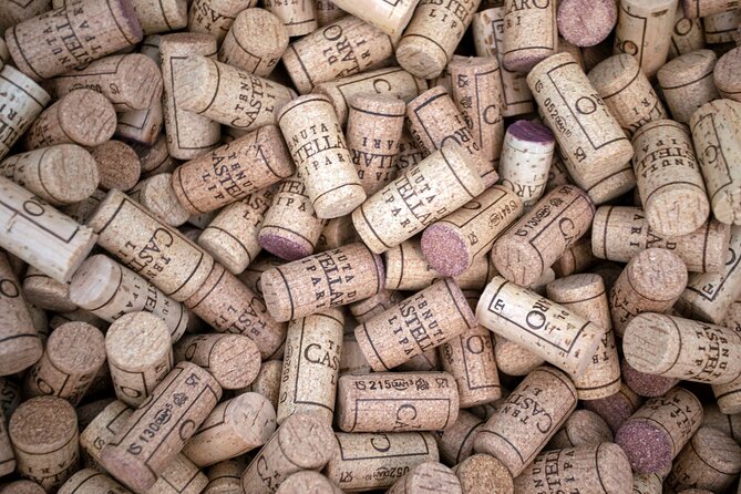 Wine tasting THE CLASSICS - Group size, age, and accessibility details