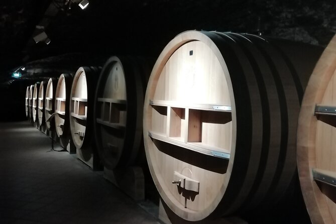 Wine Tasting Tour at Châteauneuf du Pape - Winery visits and the tasting-room experience