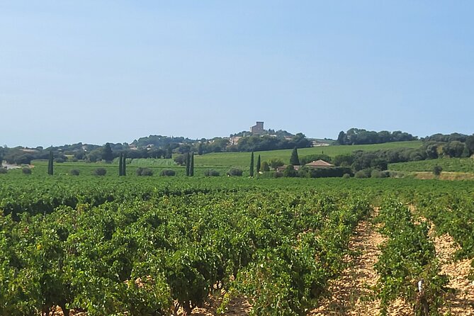 Wine Tasting Tour at Châteauneuf du Pape - What you will learn about Rhône wine