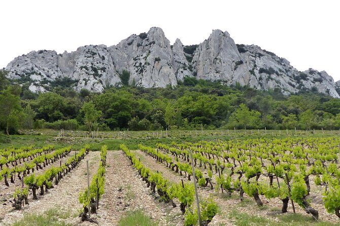 Wine Tasting Tour at Châteauneuf du Pape - Who will enjoy this tour most