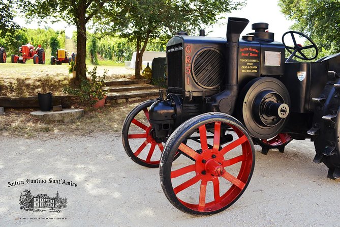 Wine Tour and Tasting at Le Marche's Oldest Wine Estate - The three-wine tasting and local food