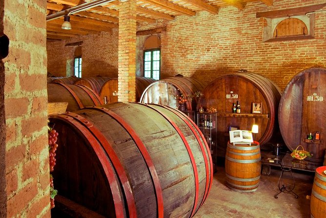 Wine Tour and Tasting at Le Marche's Oldest Wine Estate - A short walk among the vines