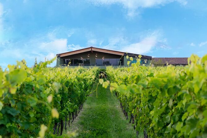 Wine Tour and Tasting of Lugana Wines in Desenzano - Is $59.13 a fair price?