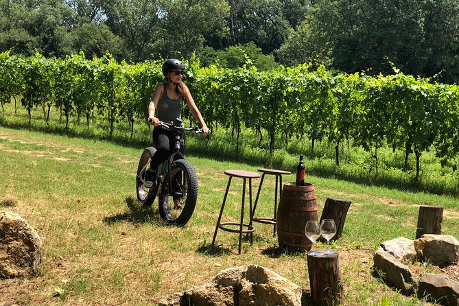Wine Tour Ebike Experience - Is the $192.36 price good value?