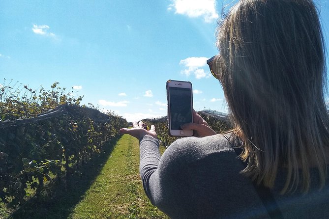 Wine Tour Privado a Calamuchita, Córdoba - Argentina - Walking Through a Boutique Winery and Vineyard