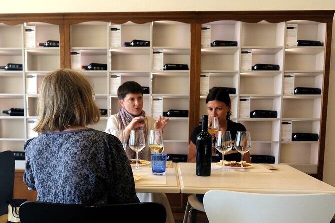 WINE TOUR with sommelier in a winery near Cagliari - Key points to know before booking