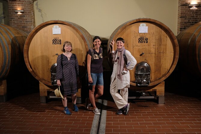 WINE TOUR with sommelier in a winery near Cagliari - What you see inside the working winery
