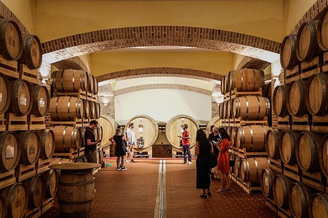 WINE TOUR with sommelier in a winery near Cagliari - Learning to taste three Sardinian wines
