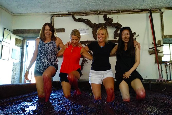 Wine Venture and Boat Trip in Douro Valley from Porto - Is $199.53 a fair price?