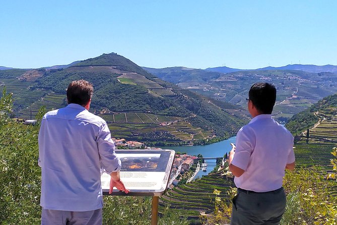 Wine Venture and Boat Trip in Douro Valley from Porto - Timing, comfort, and practical cautions