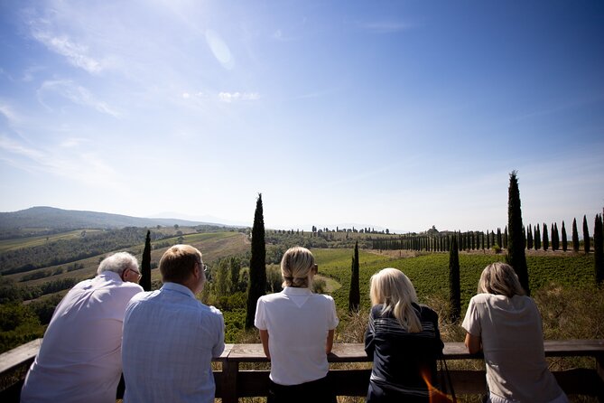 Winery tour & wine tasting in Montalcino - What makes the wine tasting useful