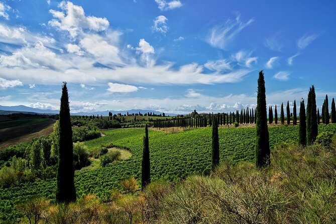 Winery tour & wine tasting in Montalcino - Who will enjoy this visit most