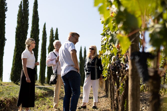 Winery tour & wine tasting in Montalcino - Timing, booking, and cancellation
